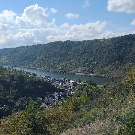 Traumpfade Boppard